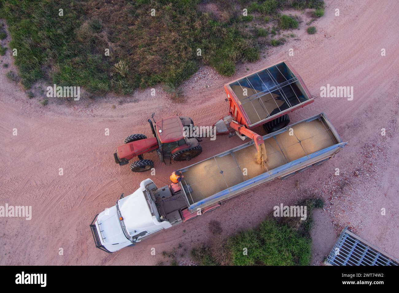 Aerial of bin chaser unloading harvested wheat onto a truck for transport to Wallumbilla Maranoa Region Queensland Australia Stock Photo