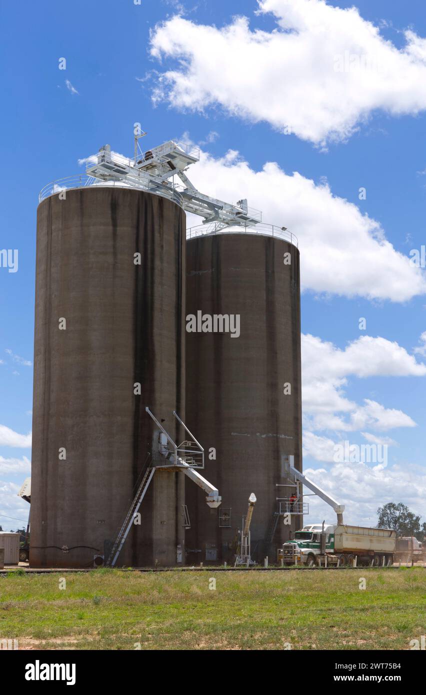 Grain storage facility concrete silos at GrainCorp depot  Wallumbilla Queensland Australia Stock Photo