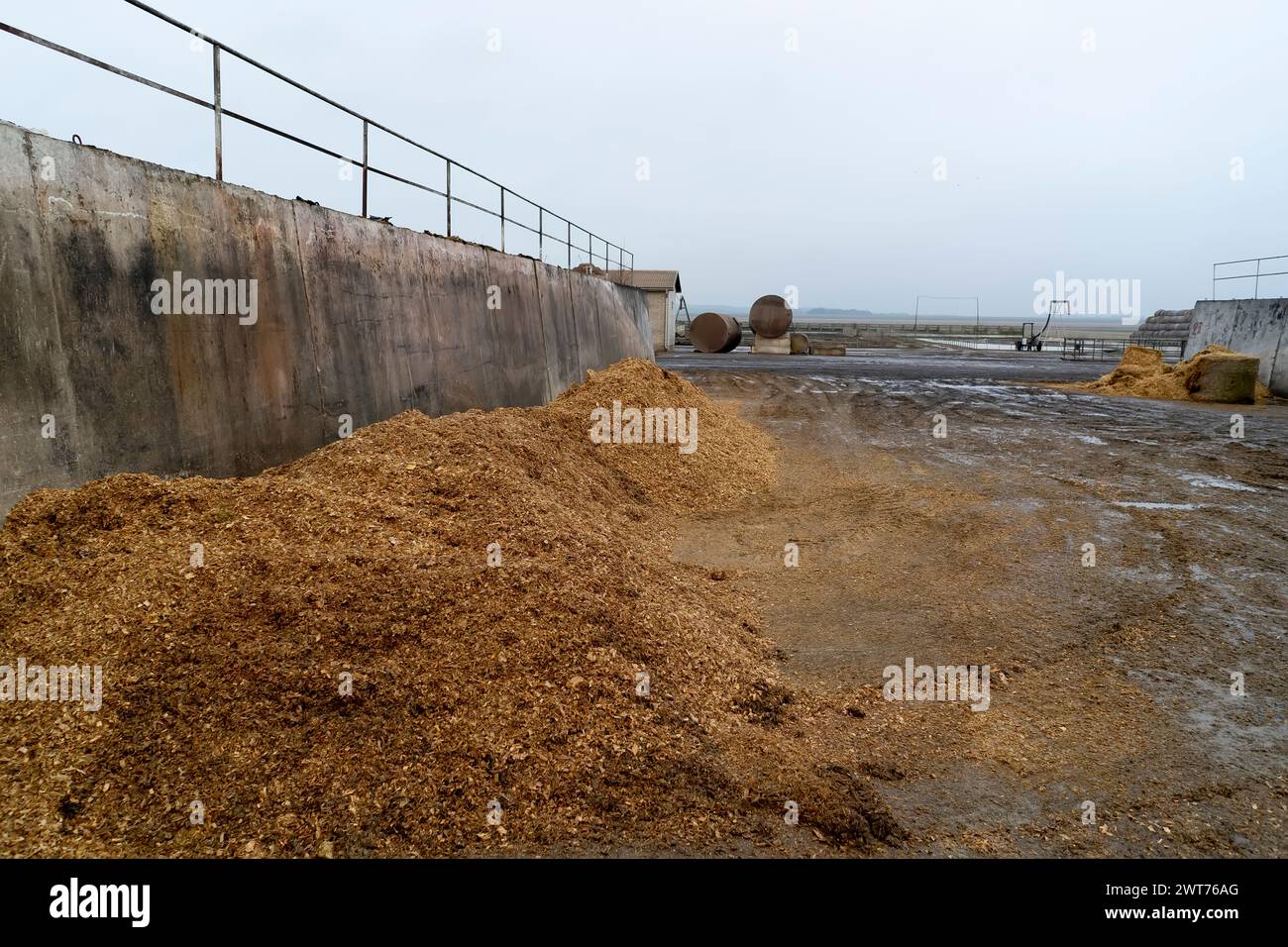 Silo pit, animal feed storage. Stock Photo
