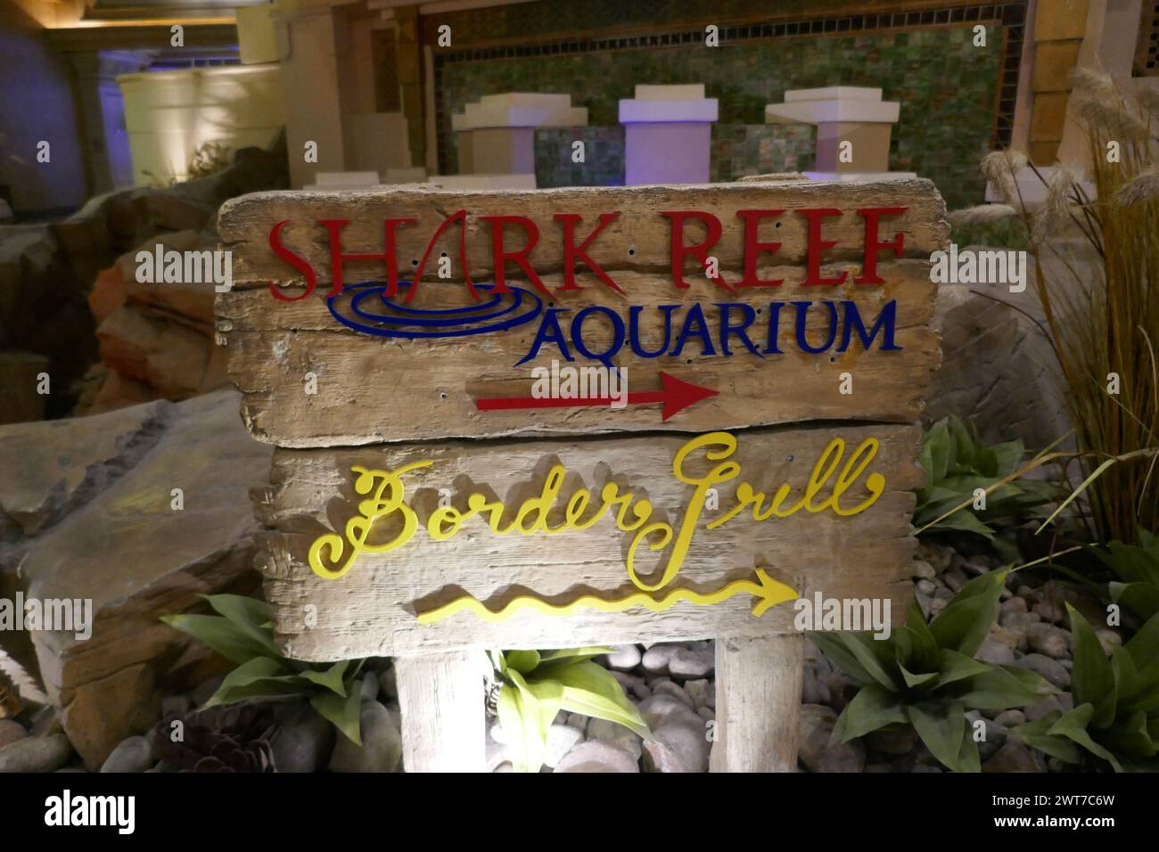 Photo inspiration: Fresh Look at Las Vegas Nevada Usa 7Th March 2024 Shark Reef Aquarium
