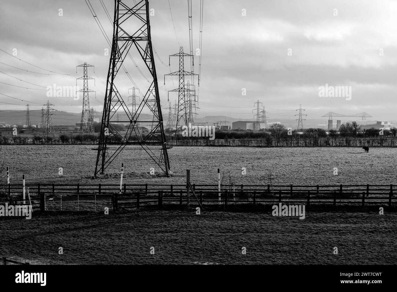 Row of electrical pylons in a field, view towards Middlesbrough, tees transporter bridge can be seen in the distance. North East England, UK. Stock Photo