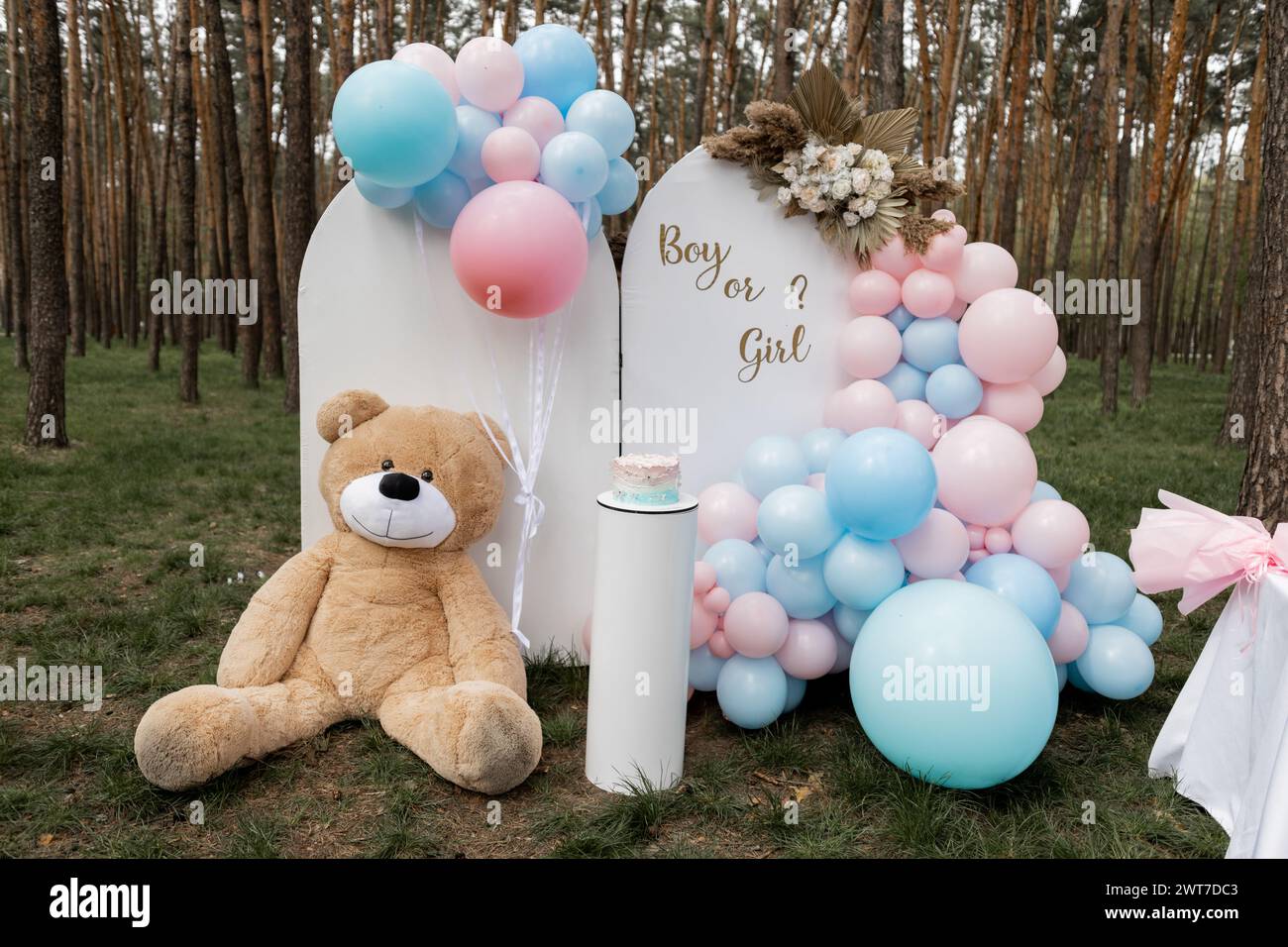 Big family picnic party outdoor hi-res stock photography and images - Alamy