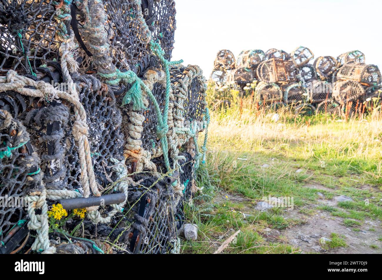 Close up of Lobster Pots or traps in Ireland. Stock Photo