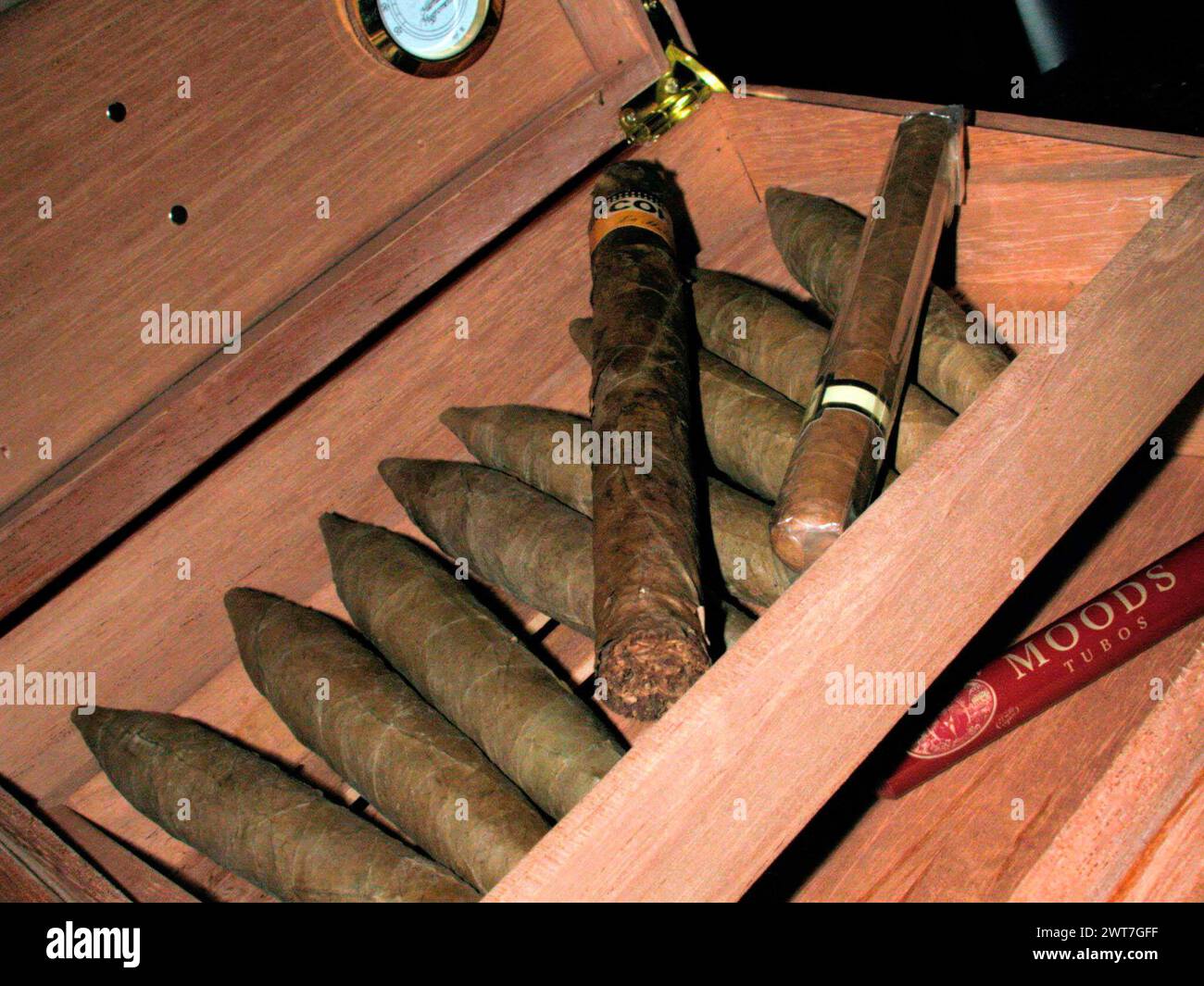 the smoking of cigars, cause of drug and nicotine addiction smoking of ...