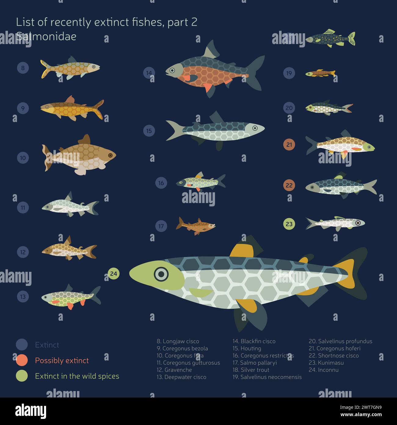 A vector flat fishes set - numbered list of recently extinct fishes on deep blue background. Stock Vector