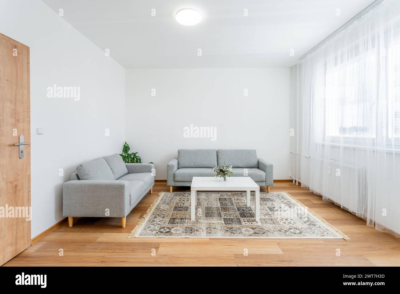 Modern living room interior with natural light Stock Photo - Alamy