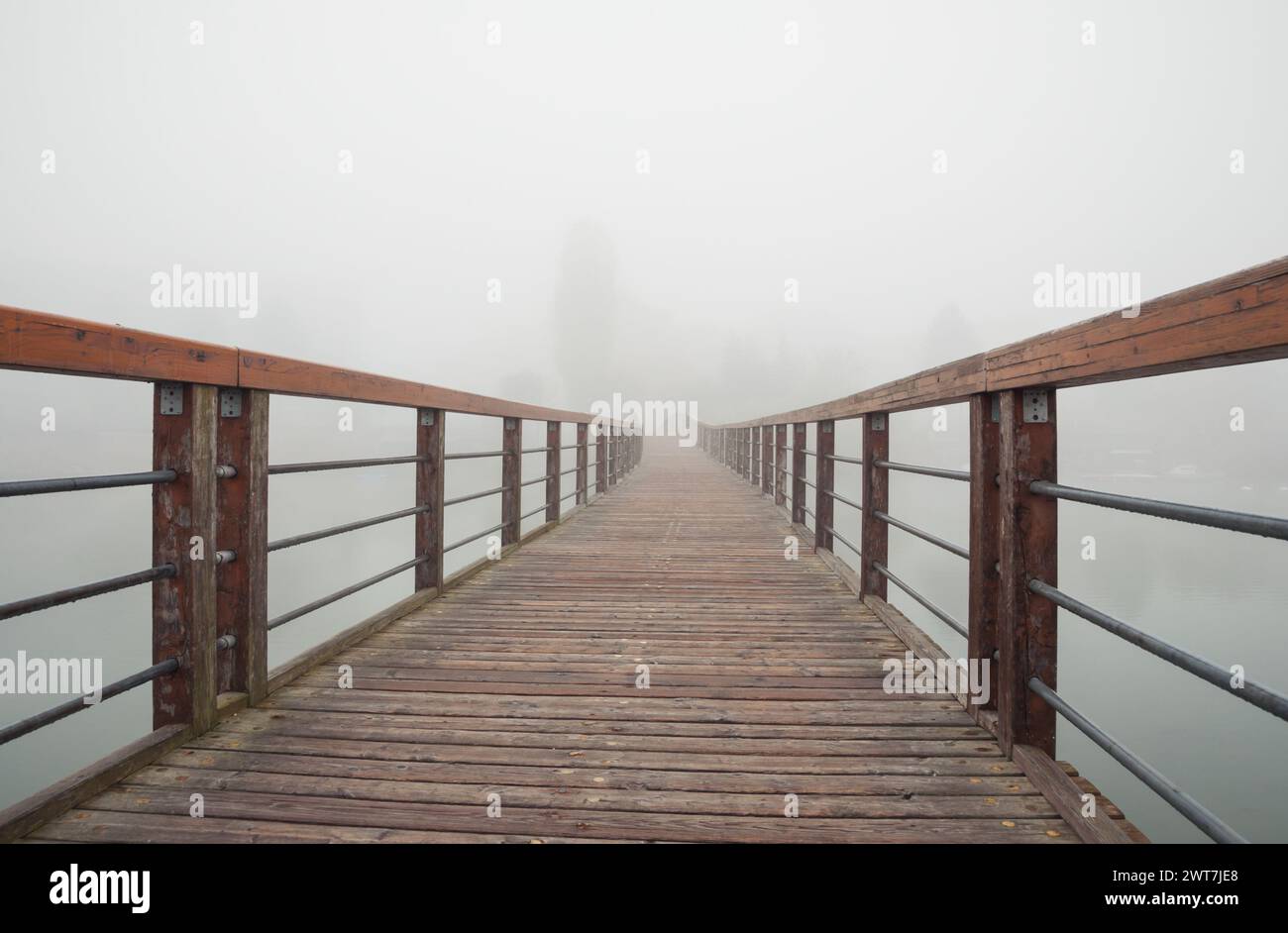 A wooden boardwalk with hand railings over a lake in the fog. Wooden walkway over still water. The walkway curves away from the viewer to the left. Stock Photo