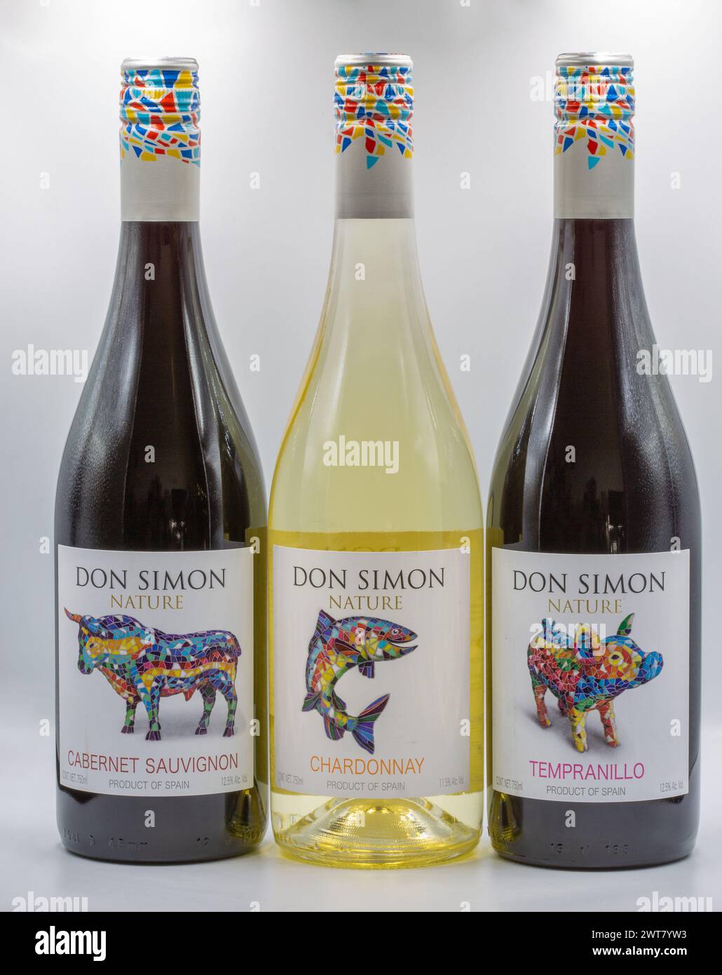 Kyiv, Ukraine - October 08, 2022: Studio shoot of set of Don Simon Spanish red and white dry wine bottles closeup against white background. Stock Photo