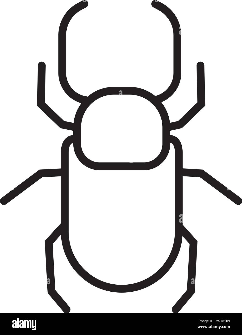 Thin bug hi res stock photography and images Alamy