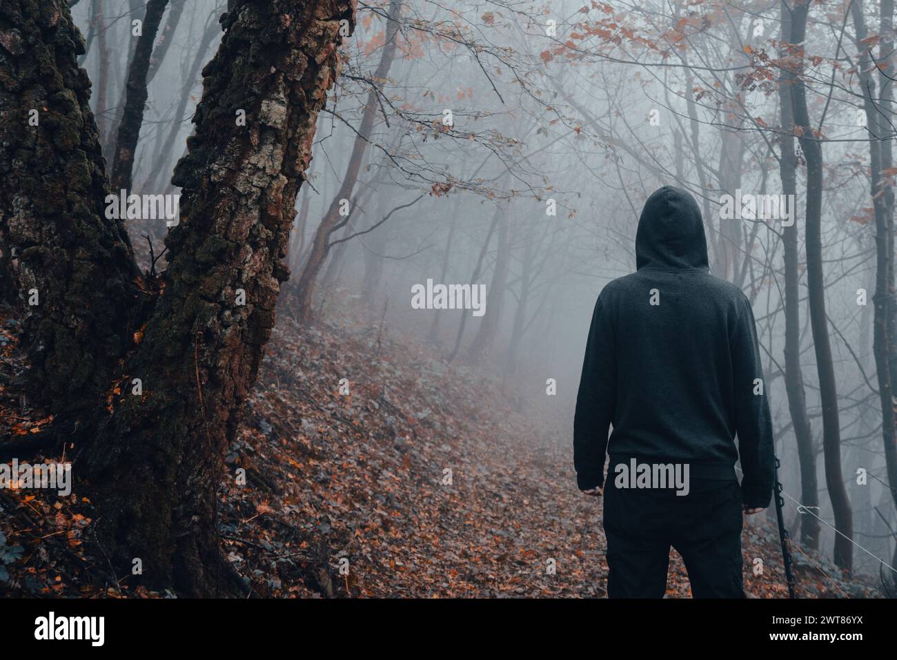 Man standing in a foggy forest hi-res stock photography and images - Alamy