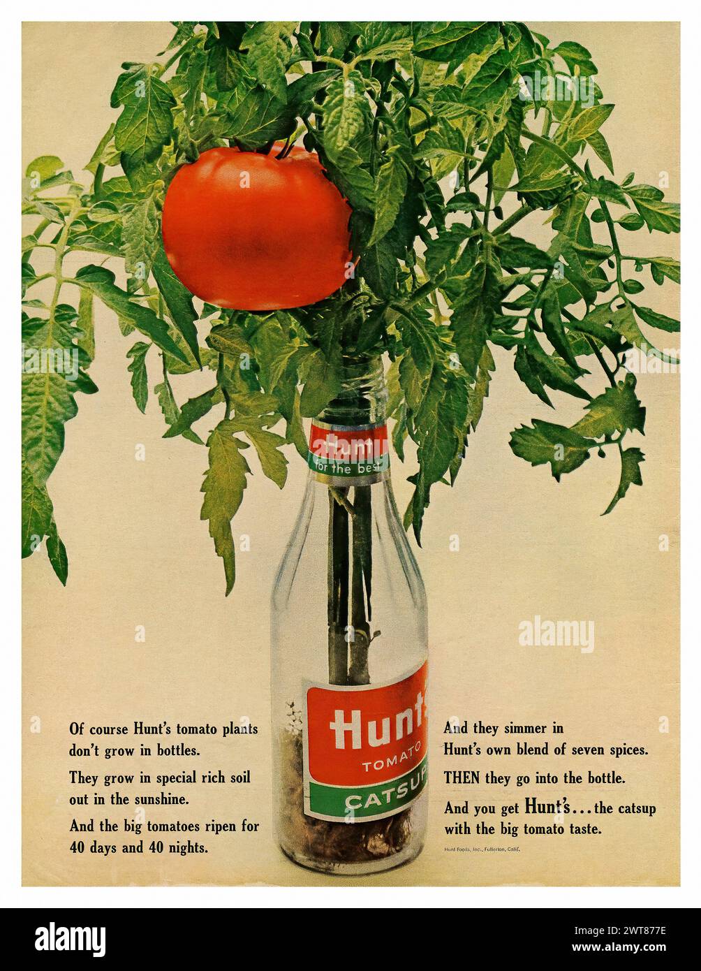 Hunt's Catsup (1963) Vintage american magazine press advertising