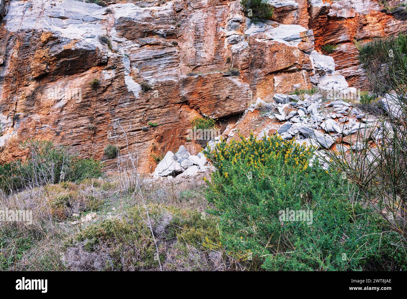 Natural stone surface detailed texture, Penteli mountain, Greece. Stock Photo