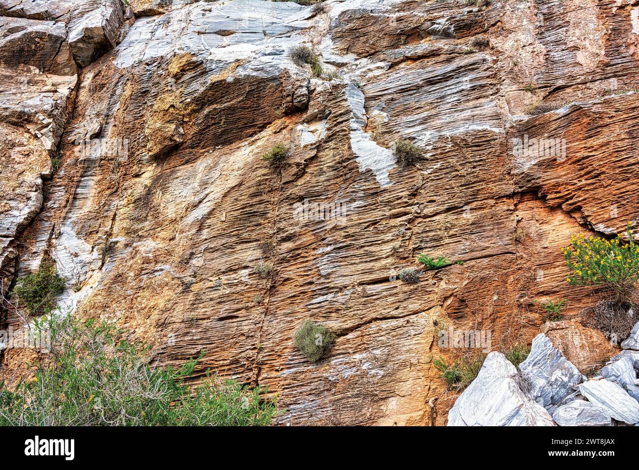 Natural stone surface detailed texture, Penteli mountain, Greece. Stock Photo