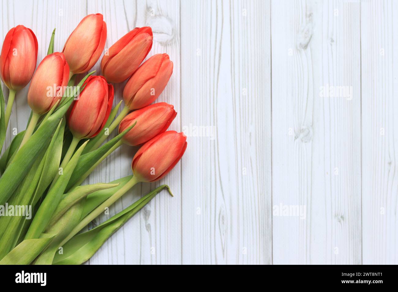 Bouquet of pink tulips on a light wooden background, top view. Flowers for banners and cards. Bouquet of flowers with selective focus. Tulips on a woo Stock Photo