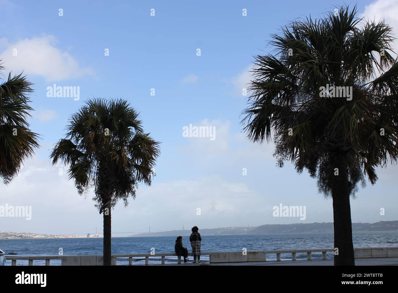 Palm trees. View over the Tagus River. Lisbon. Stock Photo