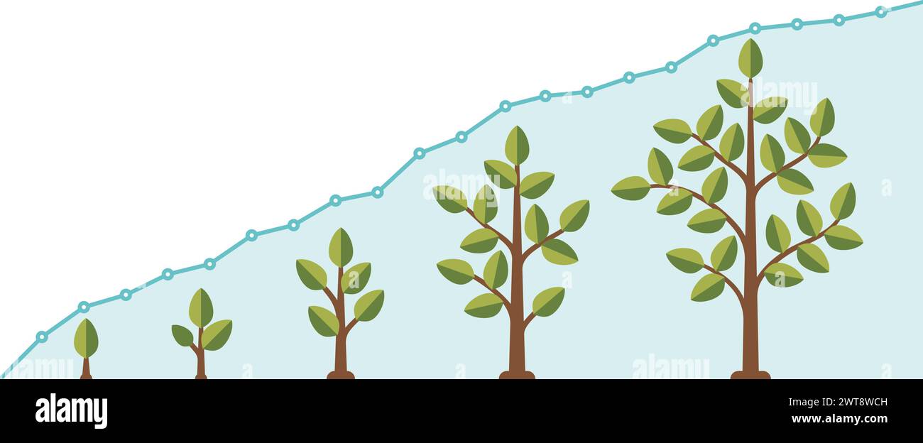 Tree growth speed line graph. Infographic chart Stock Vector