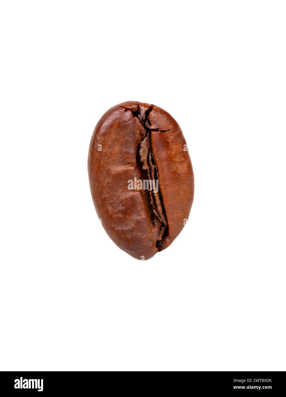 Single roasted coffee bean isolated on white background, closeup Stock Photo