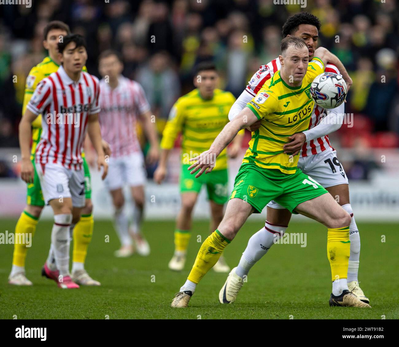 Ashley barnes norwich hi-res stock photography and images - Alamy