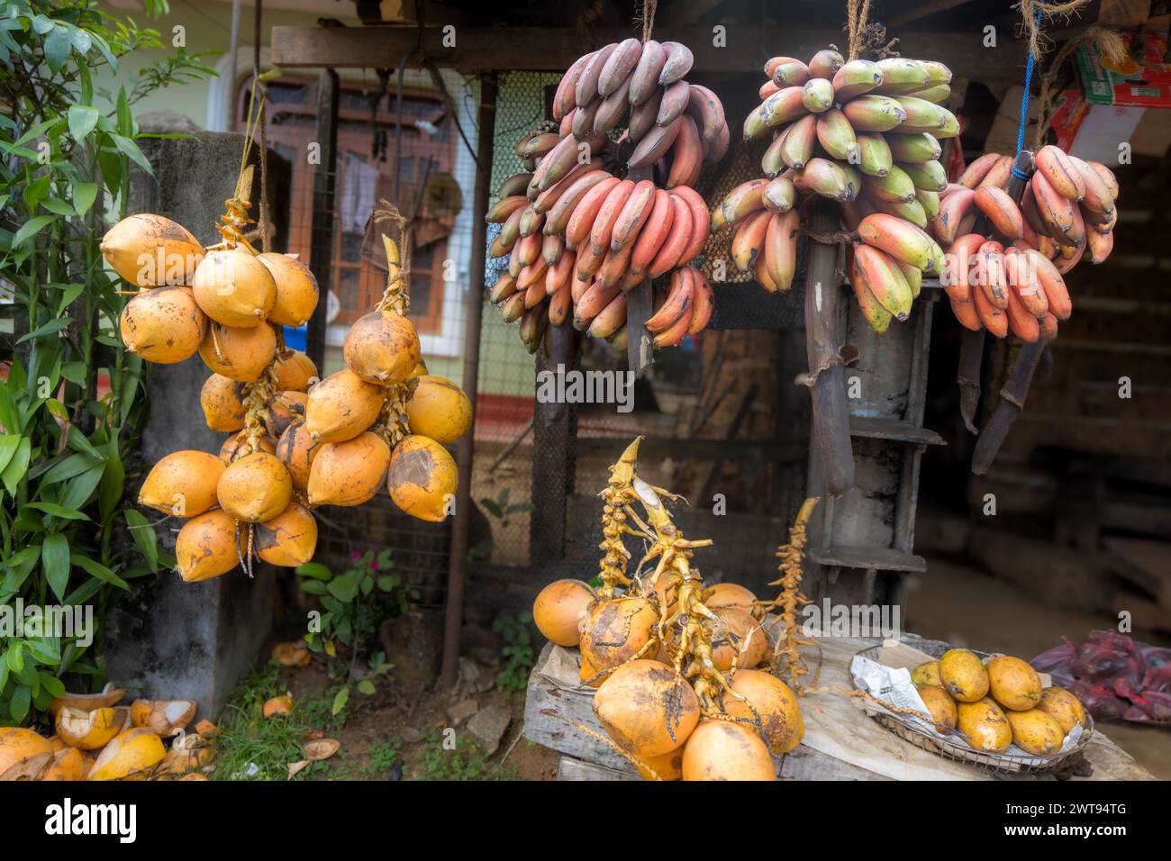 Colorful Fruit Display at a Stand in Sri Lanka. A fruit stand in Sri