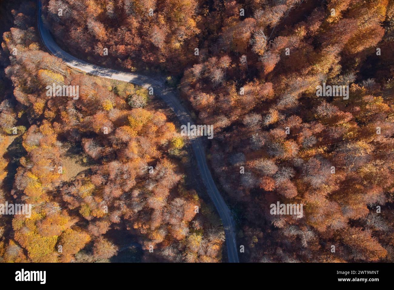 Aerial drone photo shot road hi-res stock photography and images - Alamy