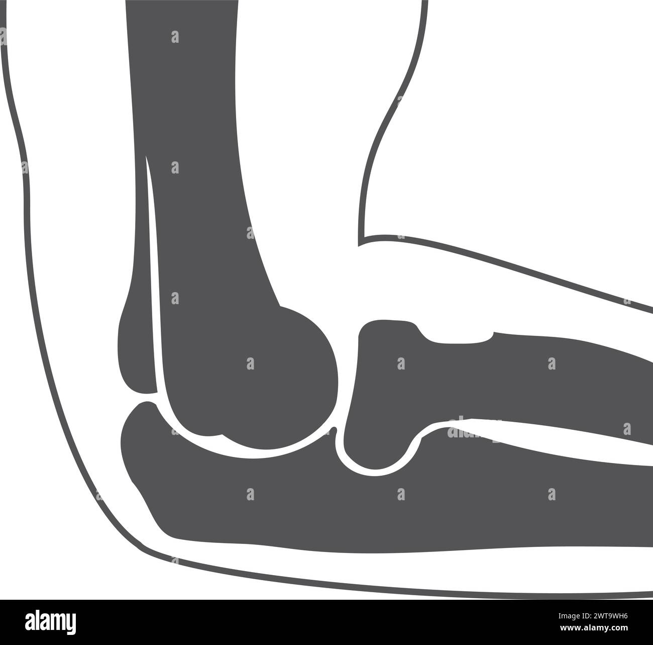 Elbow joint bones. Hand anatomy black illustration Stock Vector