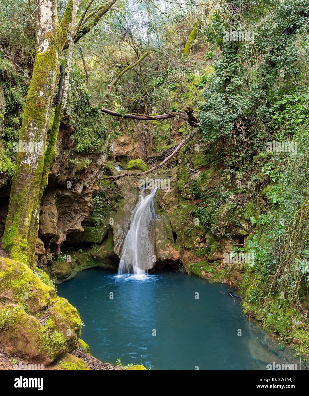 Pristine nature setting hi-res stock photography and images - Alamy