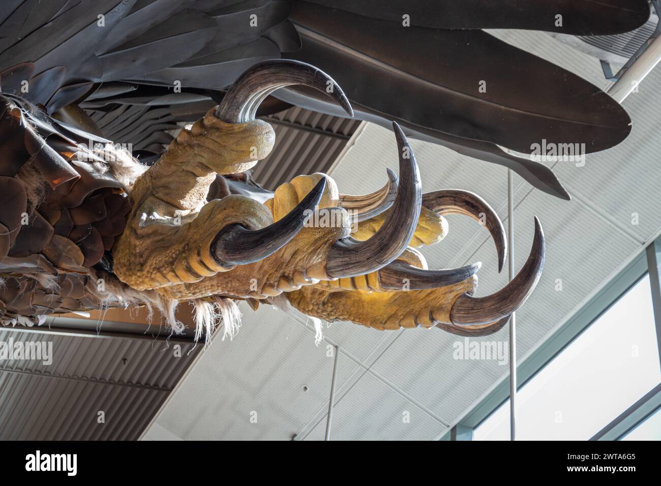 Wellington, New Zealand - February 21, 2024: Close up image of the detailed artistry of Weta Studios on the talon of a Great Eagle from Lord of the Ri Stock Photo