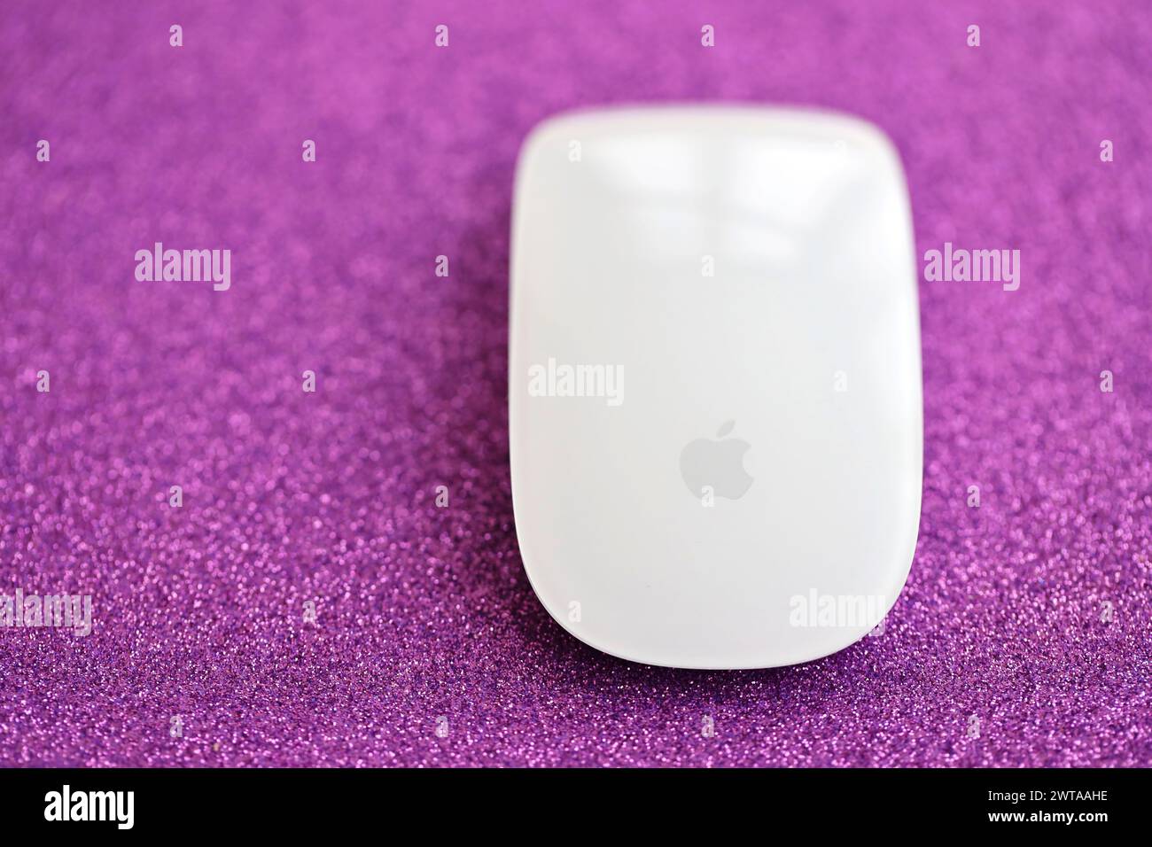 Apple magic keyboard and mouse purple popular