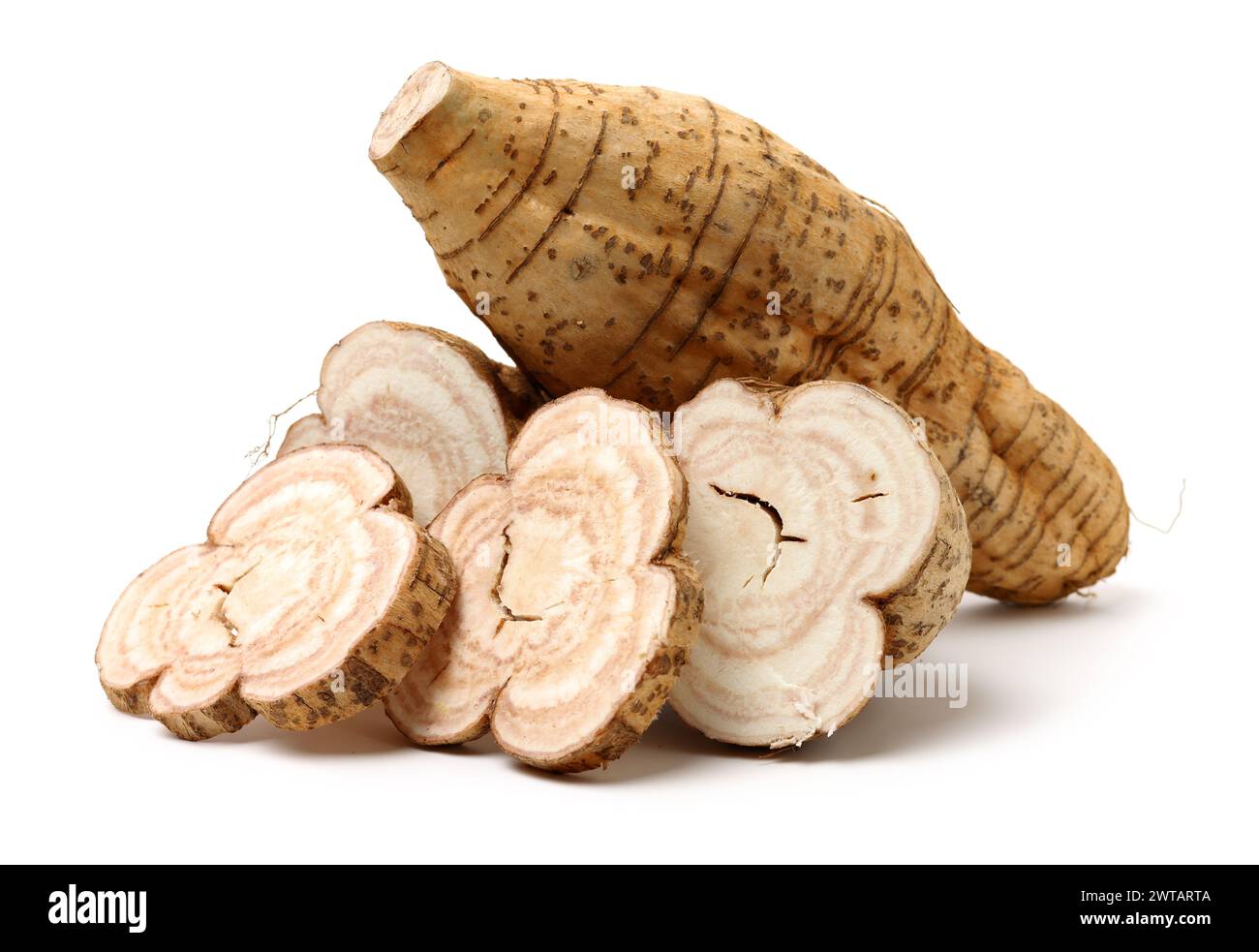 Root of kudzu vine,puerarin Isolated on a white background Stock Photo