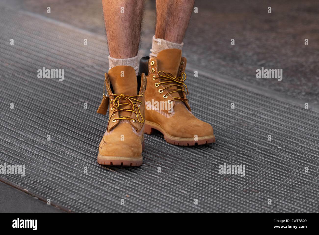 Scarpe timberland 2019 new arrivals