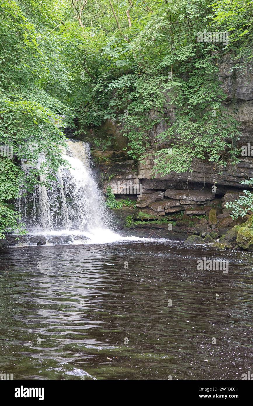 West Burton Falls, Cauldron Falls, Wensleydale Yorkshire Dales Stock ...