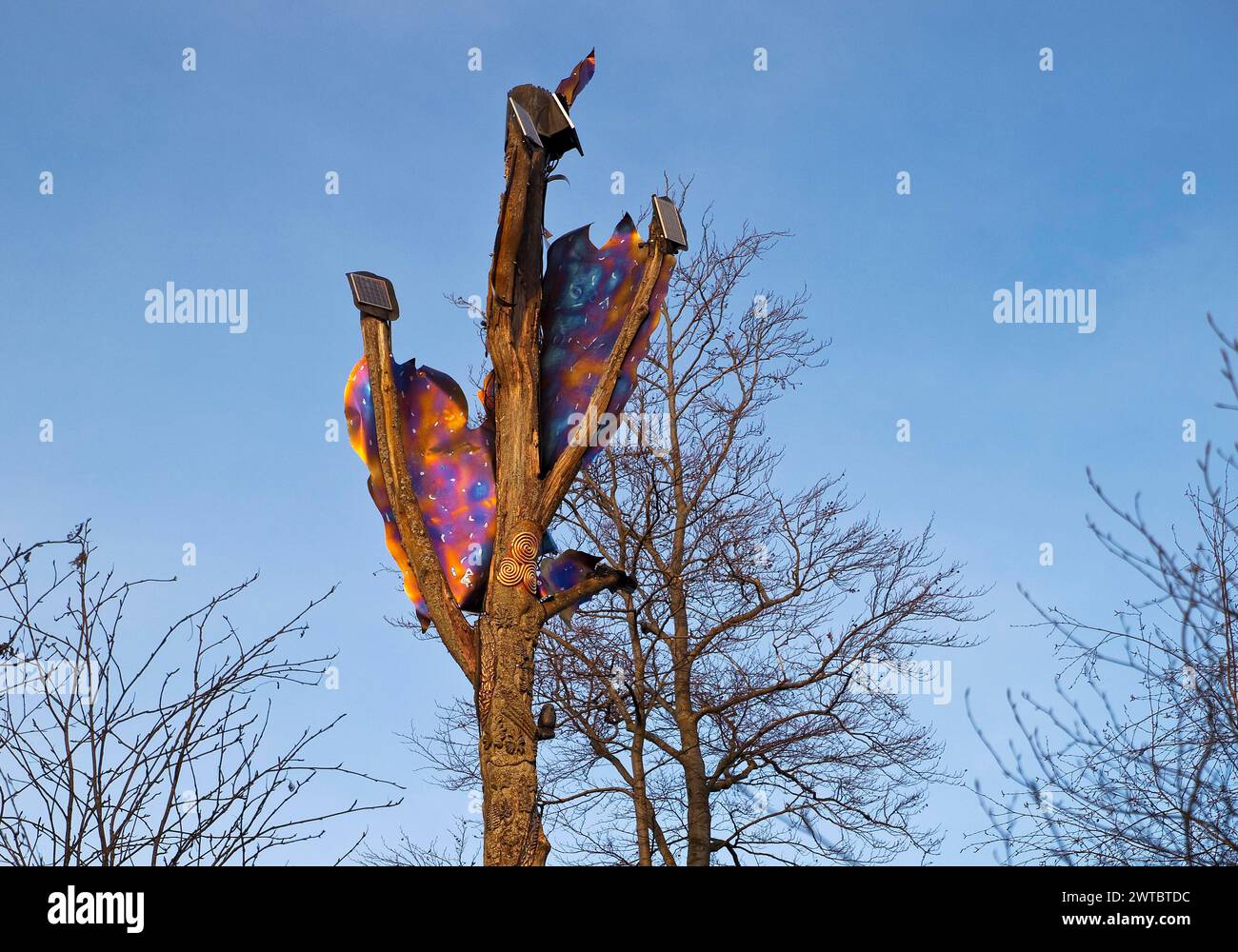 Oak Arkwork Fire oak artwork by Juergen Suberg in the Elleringhausen nature reserve ...