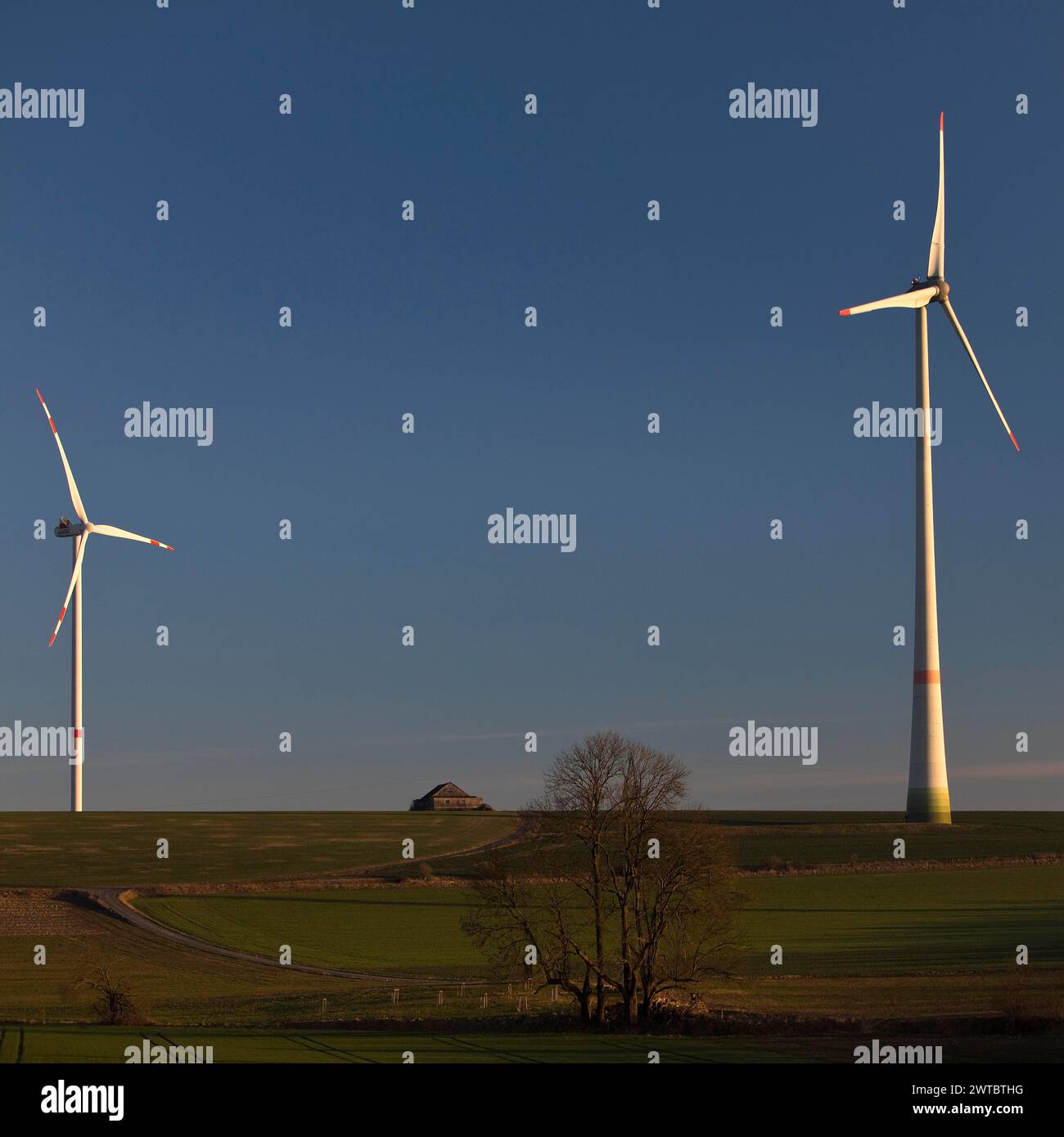 Wind turbines, wind farm, Bad Wuennenberg, Paderborn plateau, North Rhine-Westphalia, Germany Stock Photo