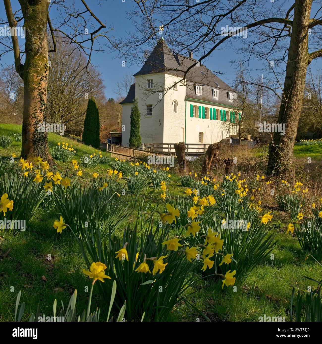 Goldberg Mill in spring, historical sight, Mettmann, Bergisches Land, North Rhine-Westphalia, Germany Stock Photo