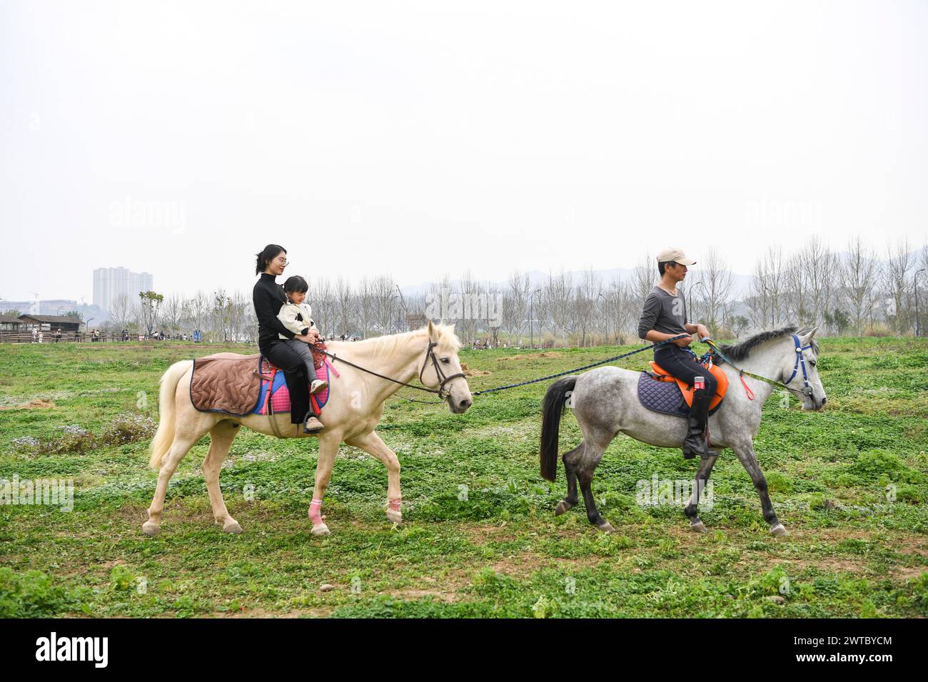 (240317) -- CHONGQING, March 17, 2024 (Xinhua) -- Tourists ride a horse at Guangyang Isle in southwest China's Chongqing, March 16, 2024. Guangyang Isle, the most extensive green island in the upper reaches of the Yangtze River, has been turned into an ecological restoration and protection 'classroom' for ecotourists and school children.The local ecosystem and biodiversity were once seriously threatened due to real-estate projects in the area. However, the local government brought harmful projects of this sort to a halt in 2017, starting the restoration of the environment on the island. (Xinhu Stock Photo