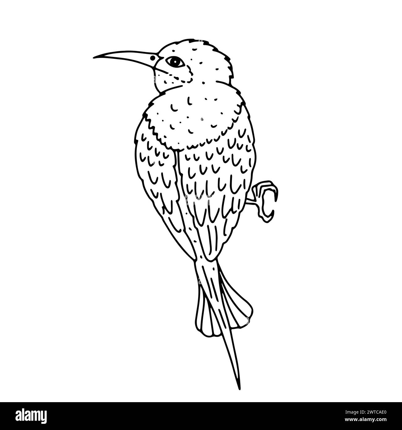 Monochrome black and white floral chinoiserie style bird isolated on white background Stock Vector