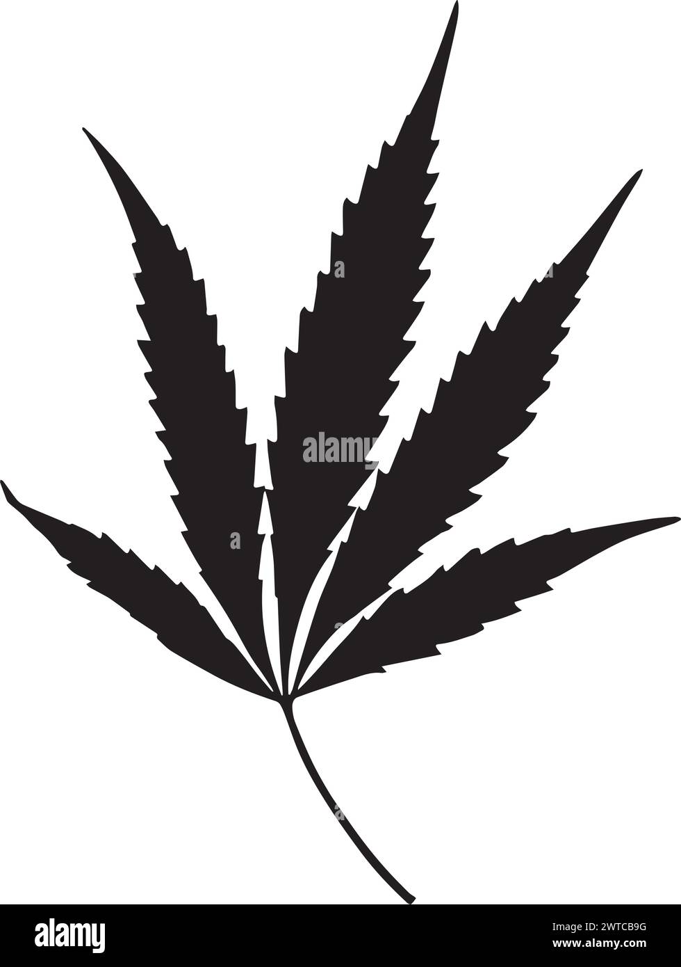 Marijuana leaf, vector illustration from a herbarium. Stock Vector