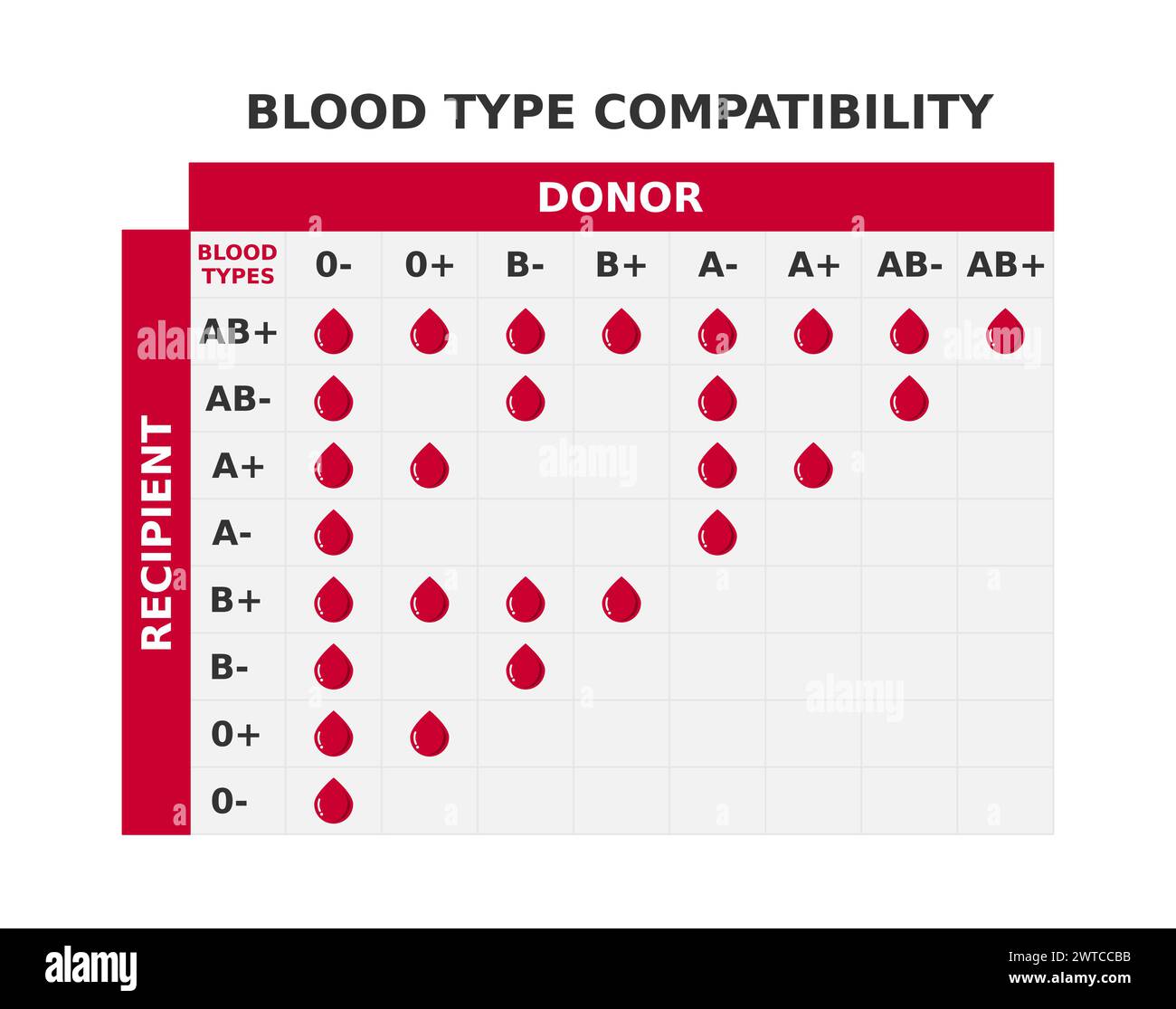 Blood Type Compatibility Chart Table With Blood Groups Crossing Possible Combinations Of