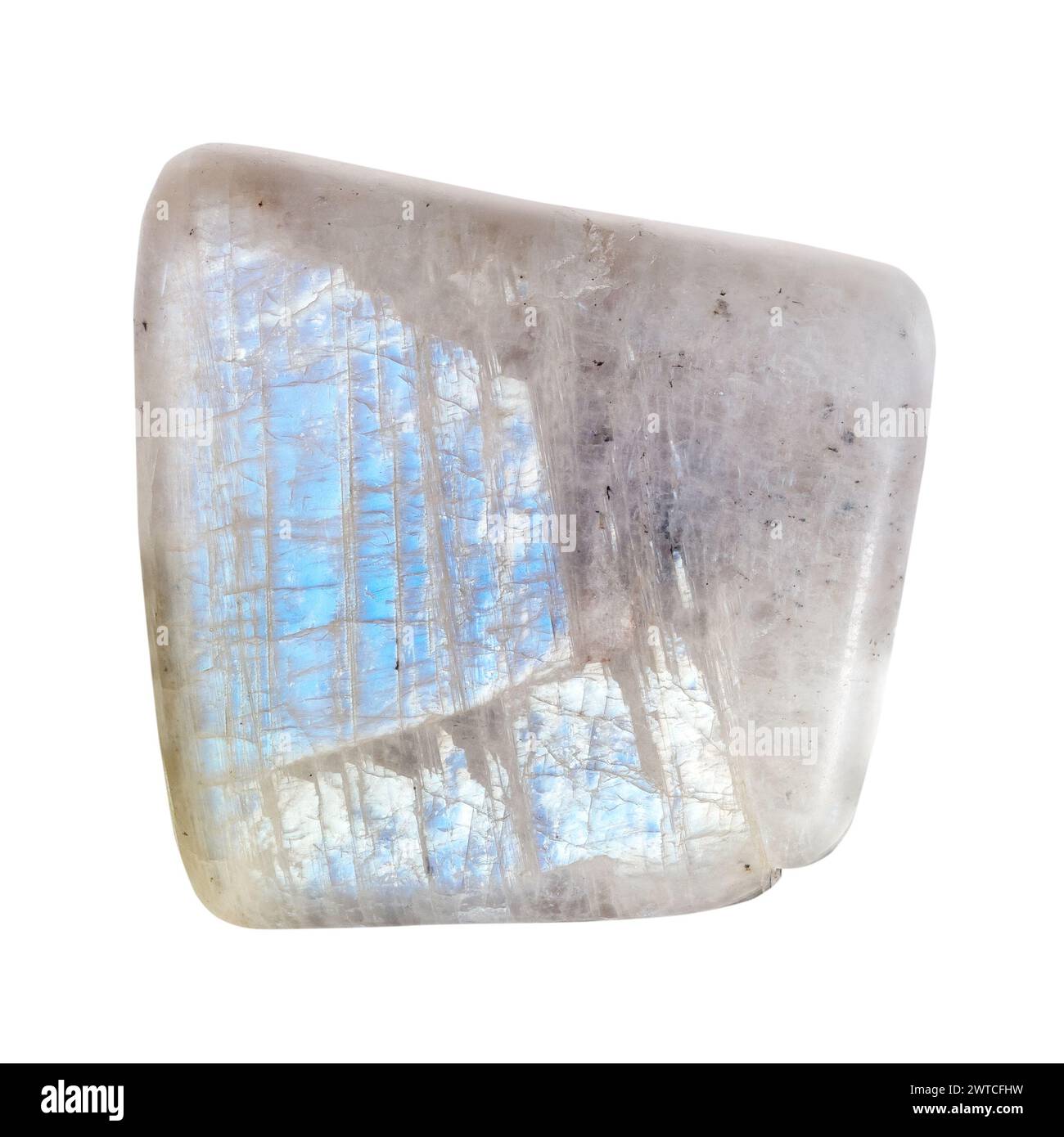 specimen of natural polished belomorite moonstone gemstone cutout on white background Stock Photo