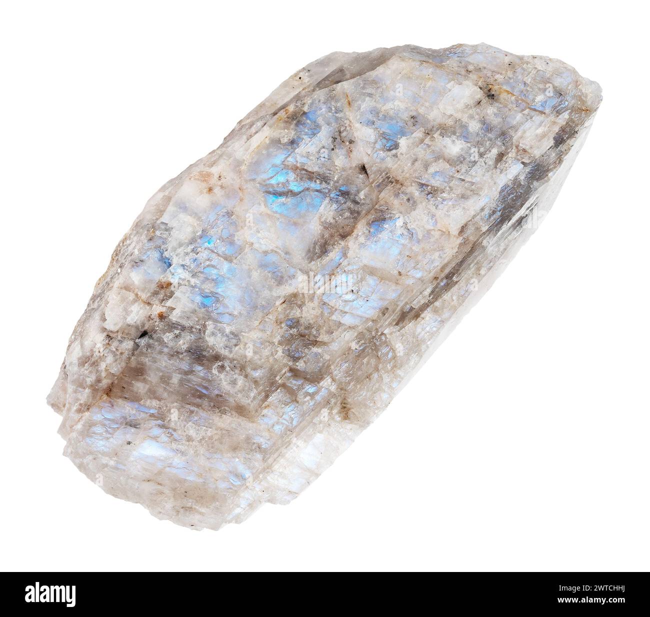 specimen of natural raw belomorite moonstone rock cutout on white background Stock Photo