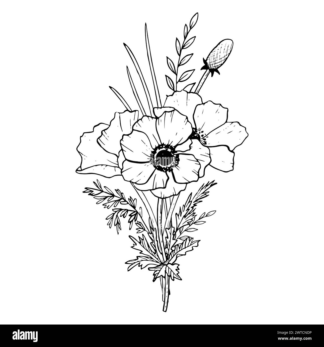 Field poppies bouquet with wild herbs and grass Stock Vector
