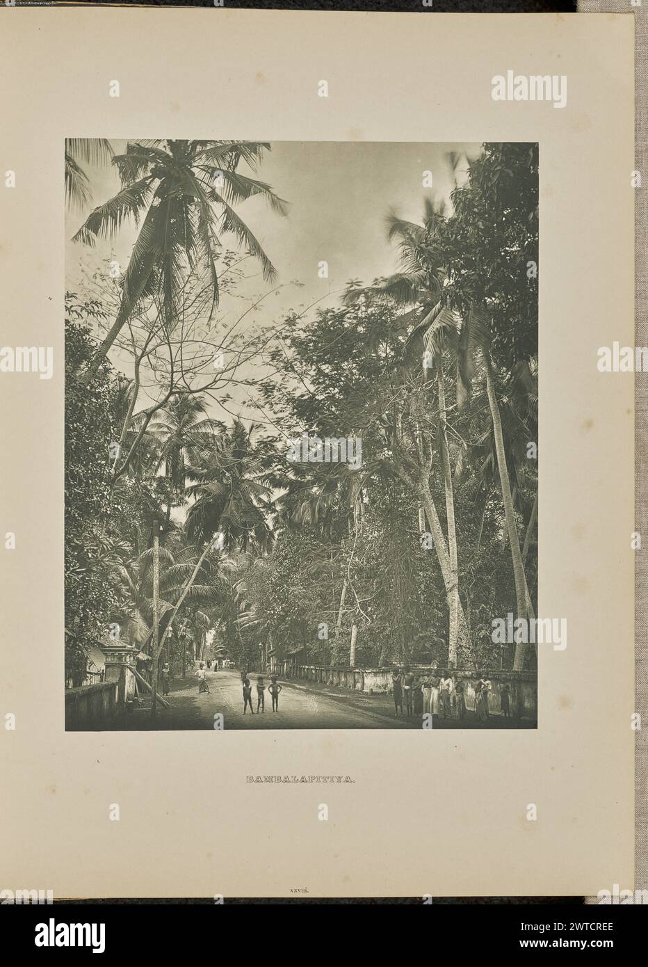 Bambalapitiya. Henry W. Cave, photographer (English, 1854 1913) 1893 View down Galle Road in