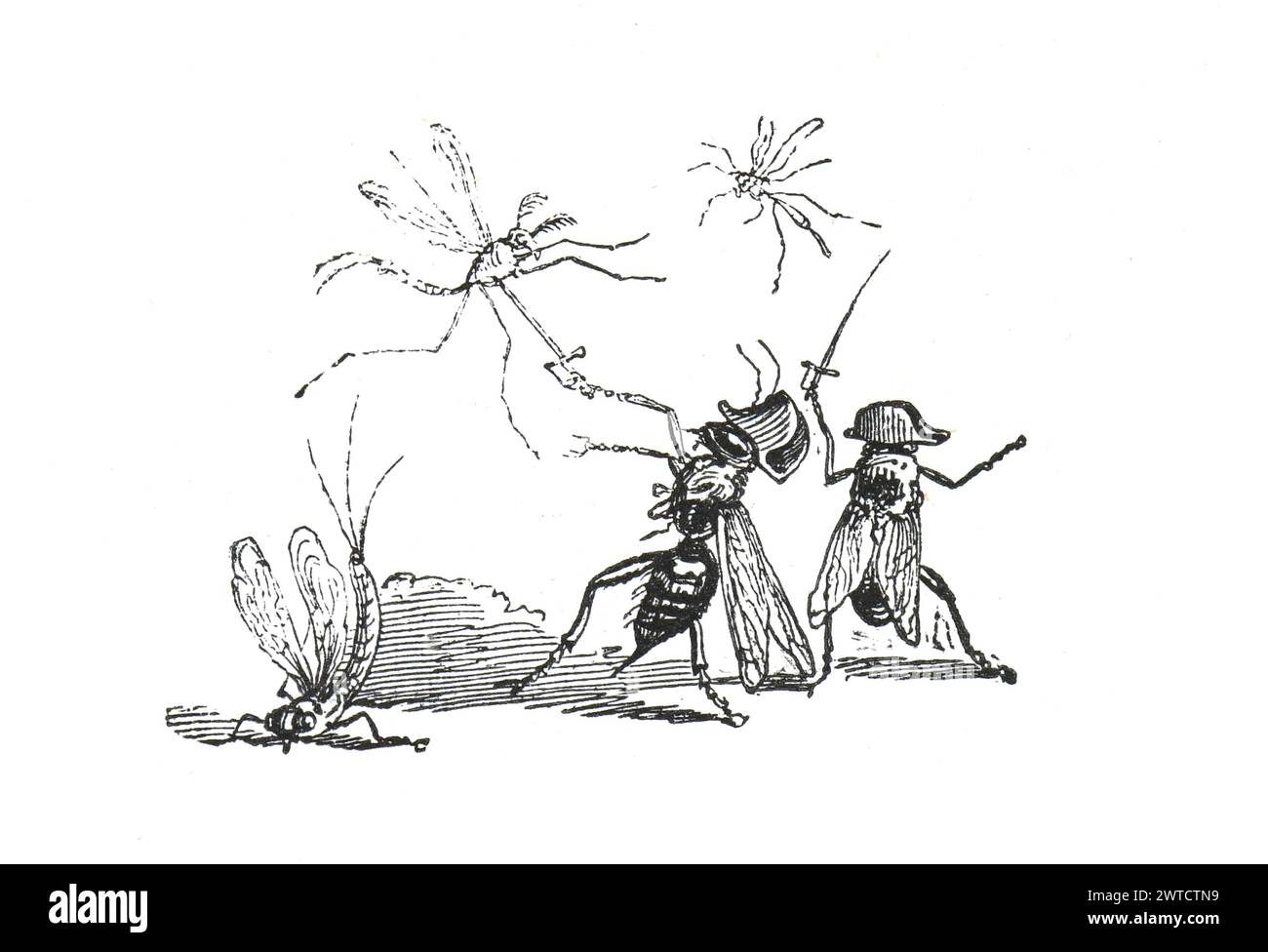 Anthropomorphic animals. humanized ants. ants are fighting with insects. biodiversity. cyborg animals. CRISPR. CAS9. Aliens. hand drawn illustration. Stock Photo