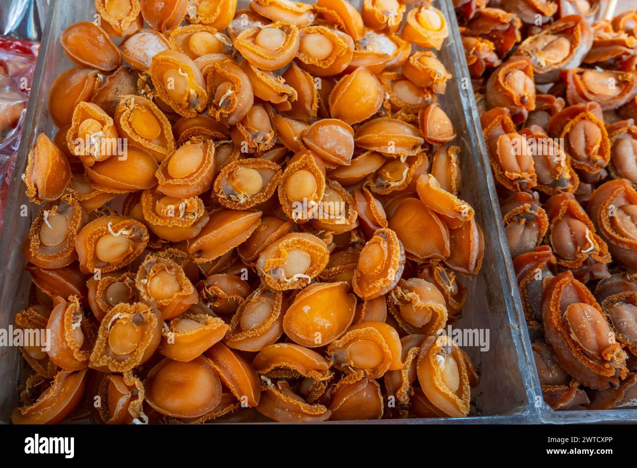 Fresh raw abalone close hi-res stock photography and images - Alamy