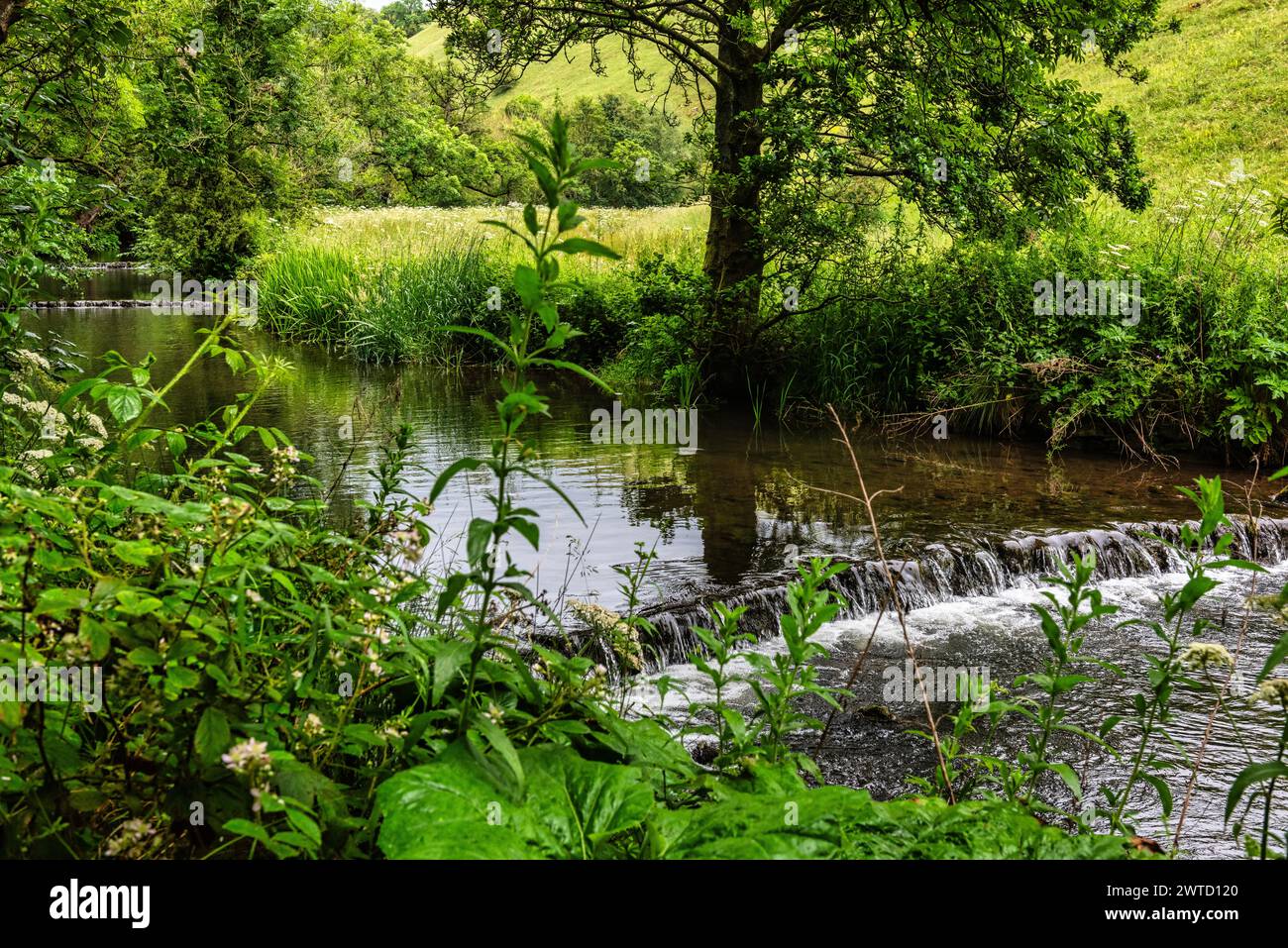 The River Dove viewed from the path between Dovedale and Milldale in the Peak DIstrict in Derbyshire, England Stock Photo