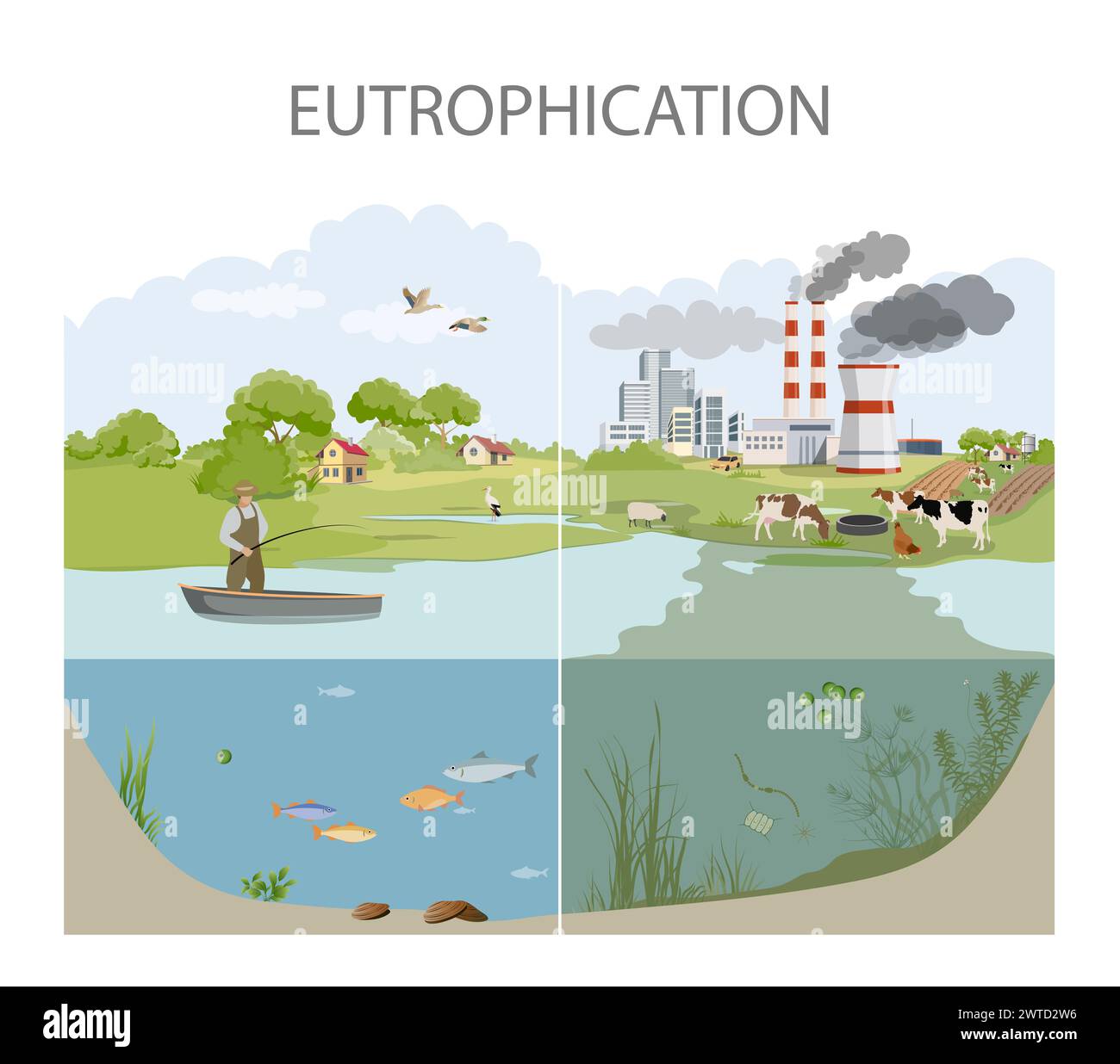 Eutrophication and Water Pollution illustration Stock Photo