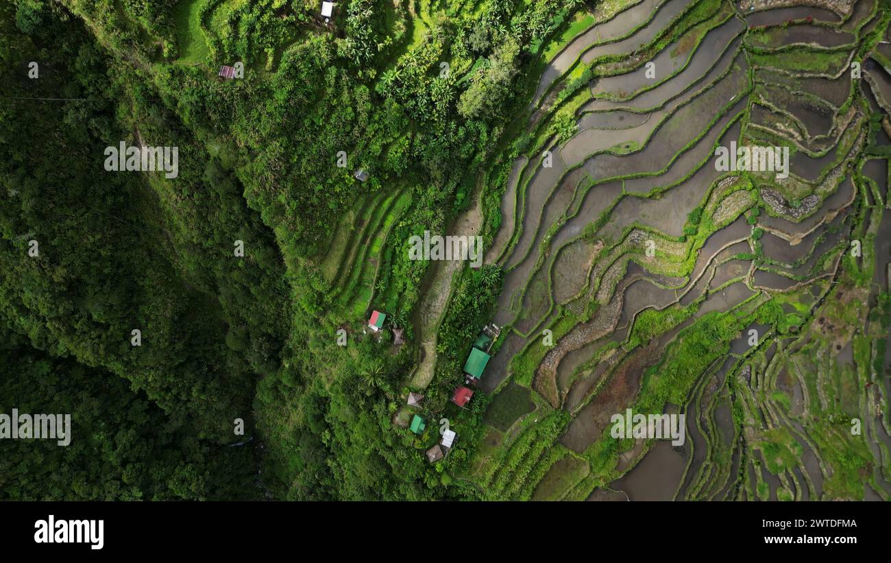 Batad Rice Terraces in Philippines Stock Photo - Alamy