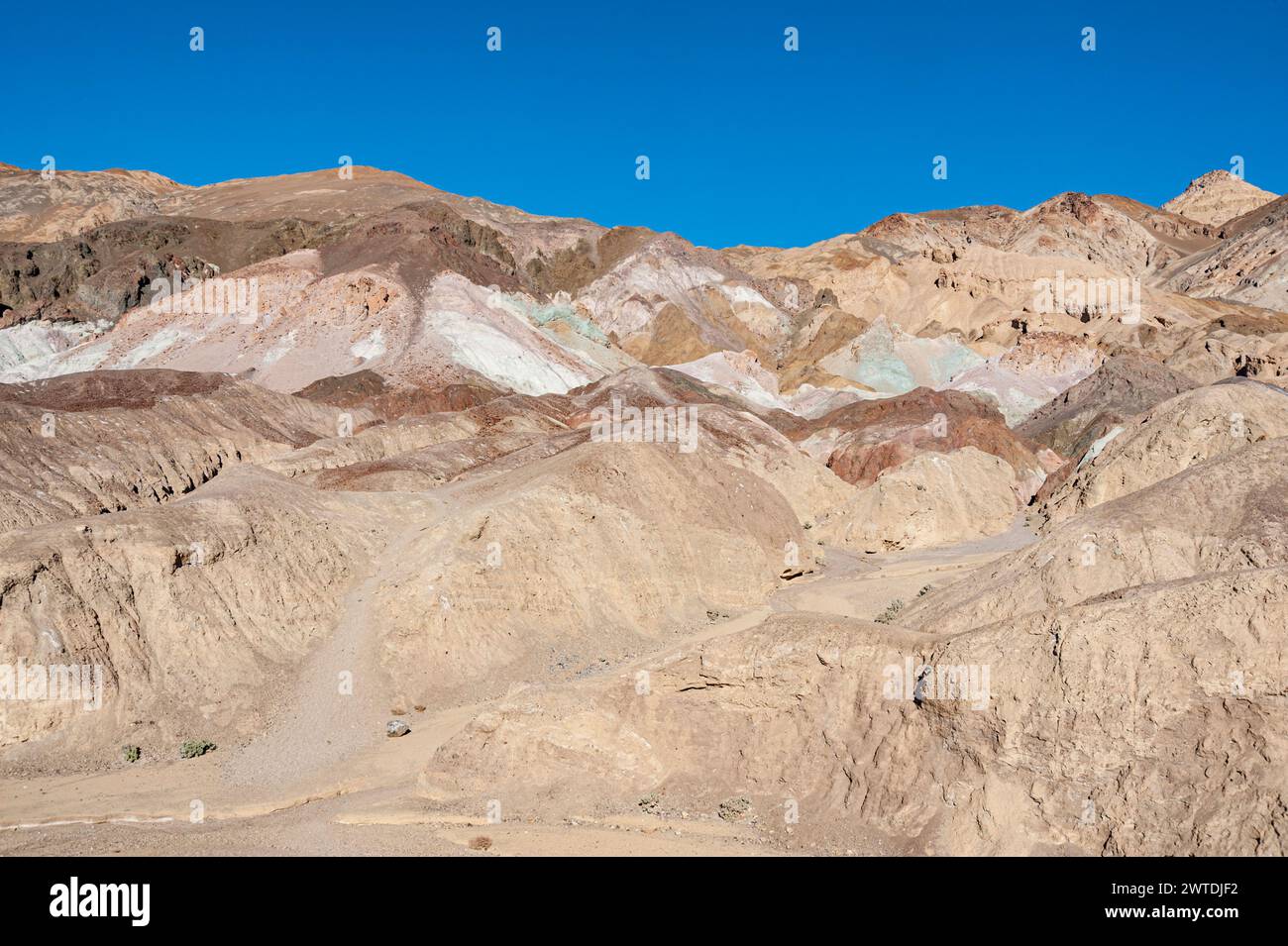 Death Valley Arroyo or dry river bed, USA Stock Photo