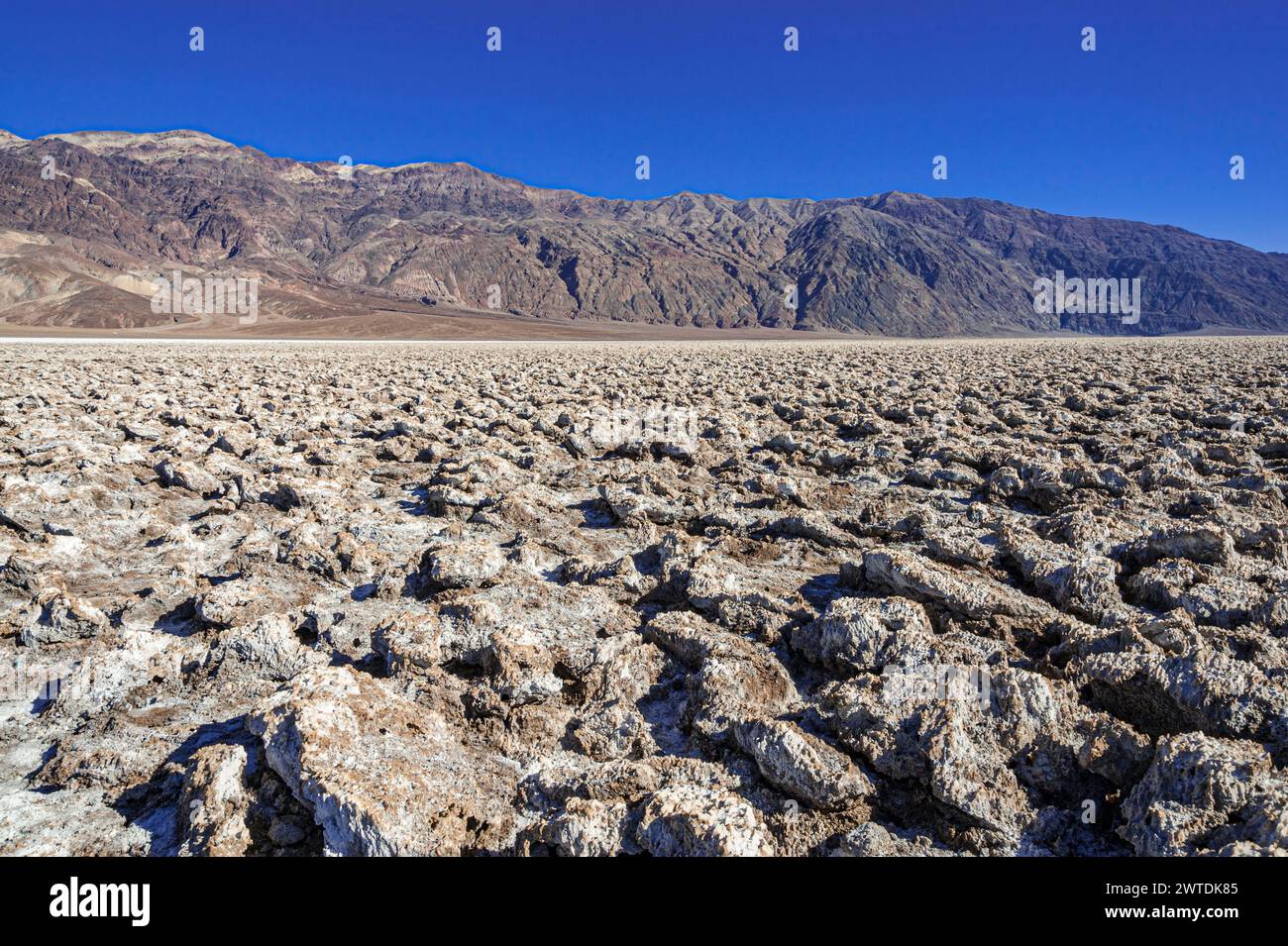 Devil's Golf Course, Death Valley California USA Stock Photo