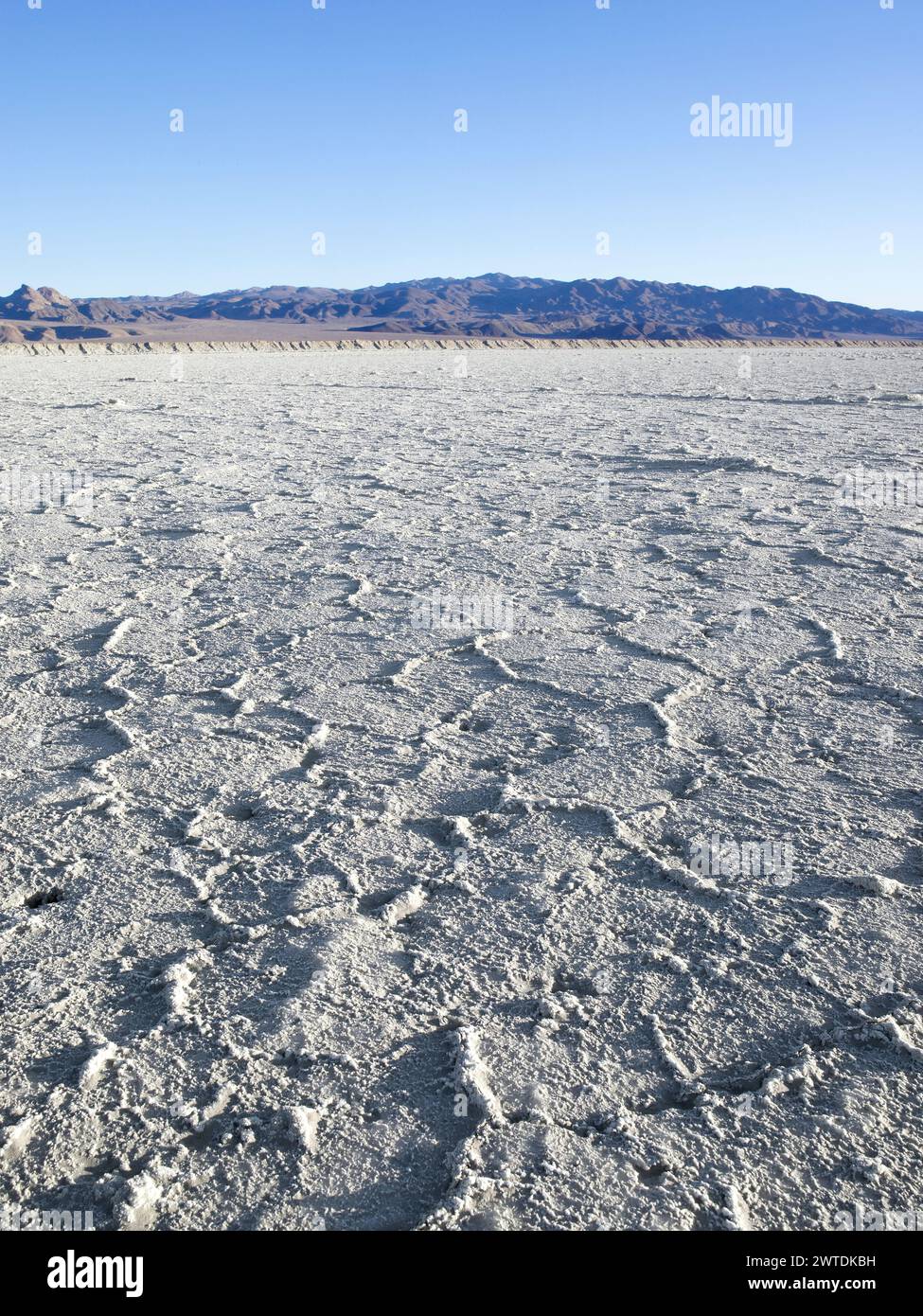 Dry mud flats death hi-res stock photography and images - Alamy